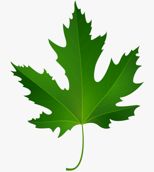 Листики мультяшные