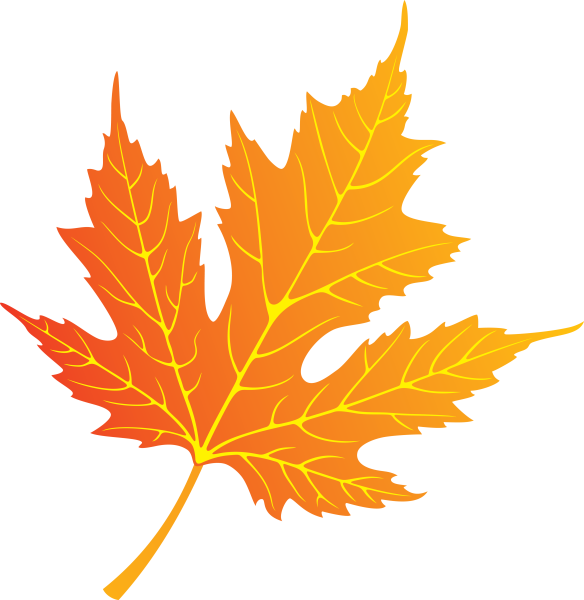 Кленовый лист