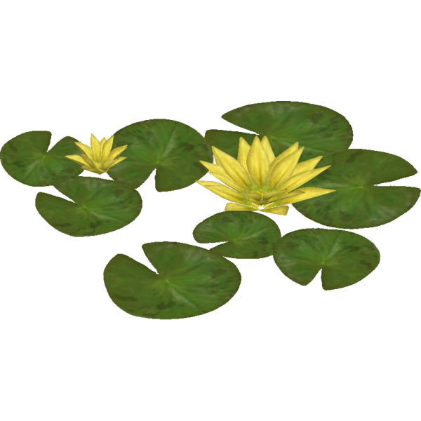 Листок кувшинки