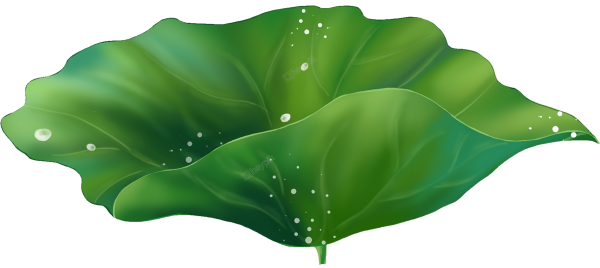 Листья лотоса клипарт