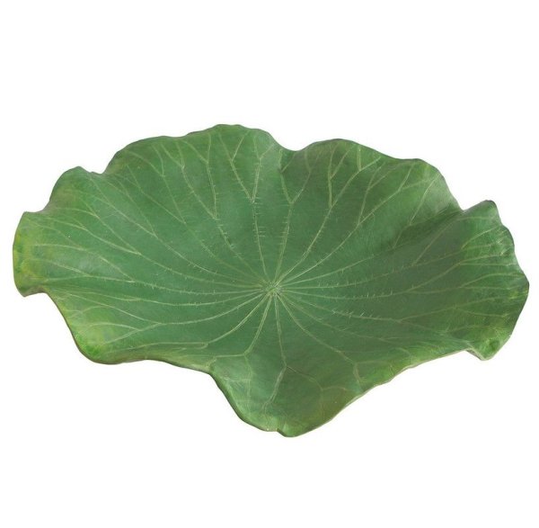 Лист от кувшинки