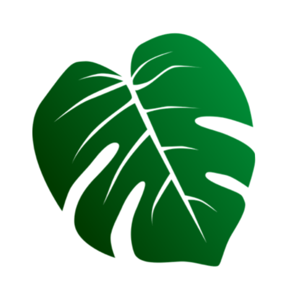 Листья Monstera вектор