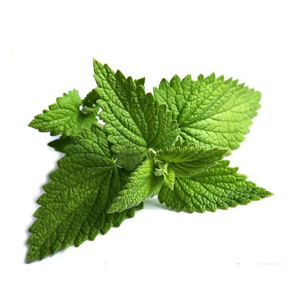 Перуанская мята