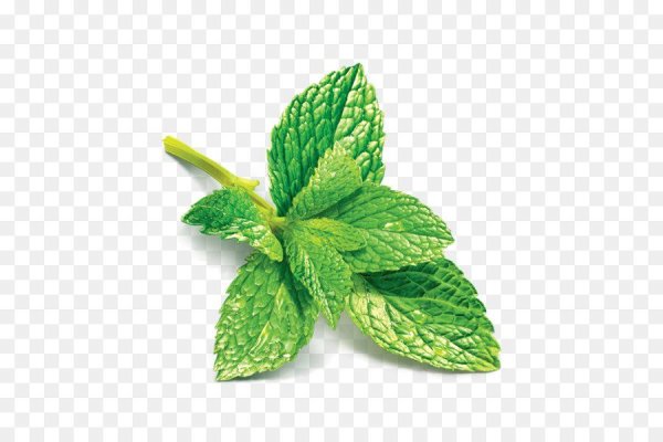 Мята перечная веточка