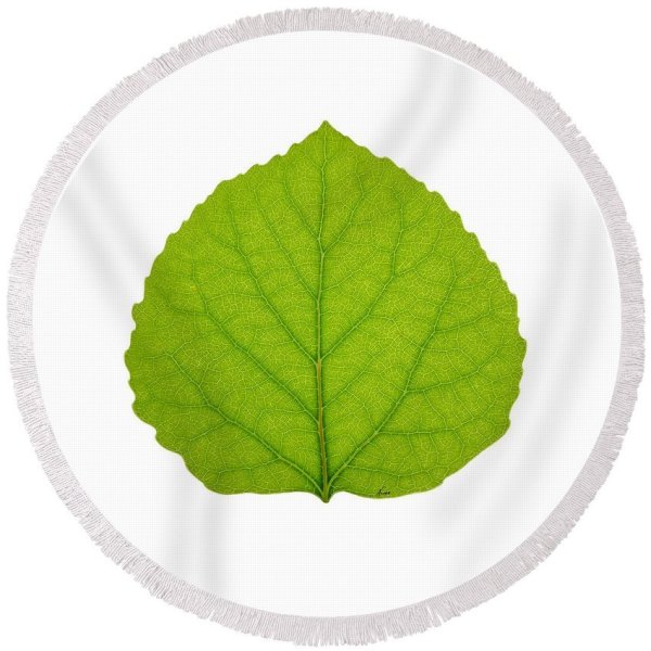 Листочки осины