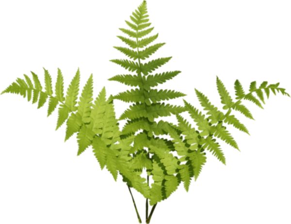 Вапорвейв папоротник