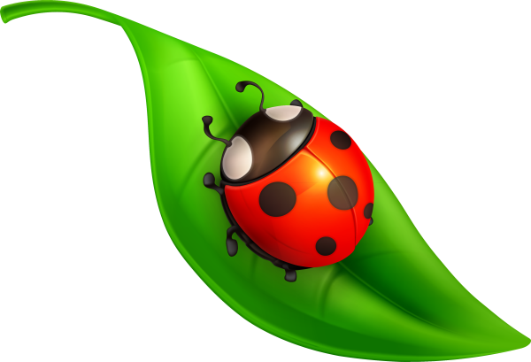 Божья коровка мультяшная