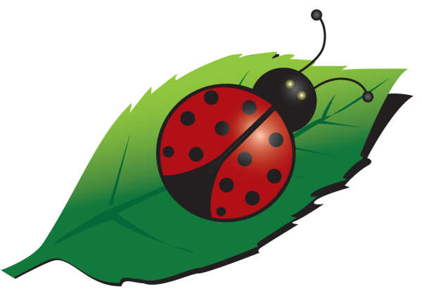 Рисование Божья коровка на листочке