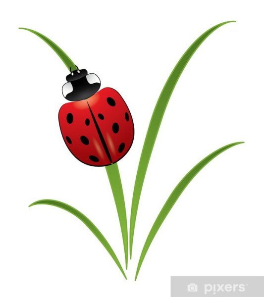 Рисование для детей Божья коровка на травке