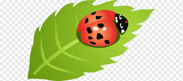 Рисунок Божья коровка на листе