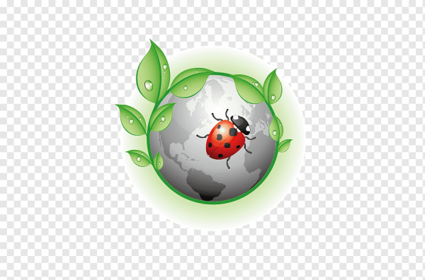 Божья коровка экология