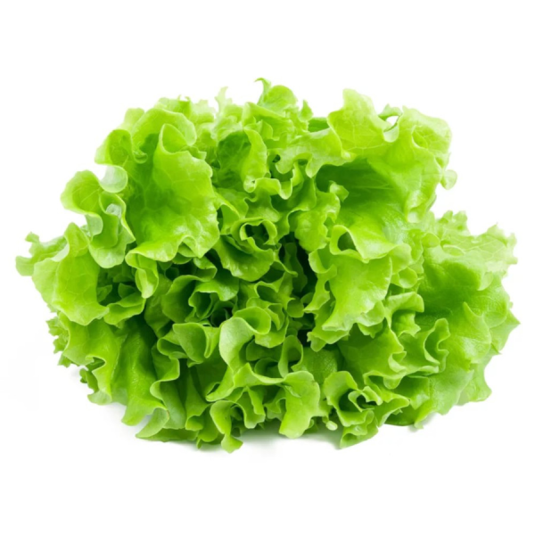 Салат Фриллис