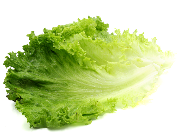 Листья салата