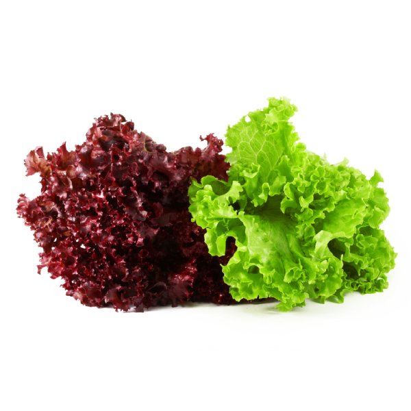 Салатный лист Лола Росса