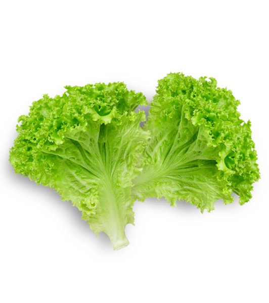 Листья Салала