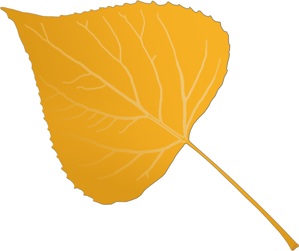 Листья тополя осенью