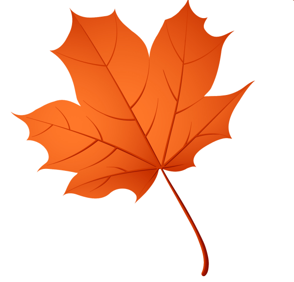 Осенние листья