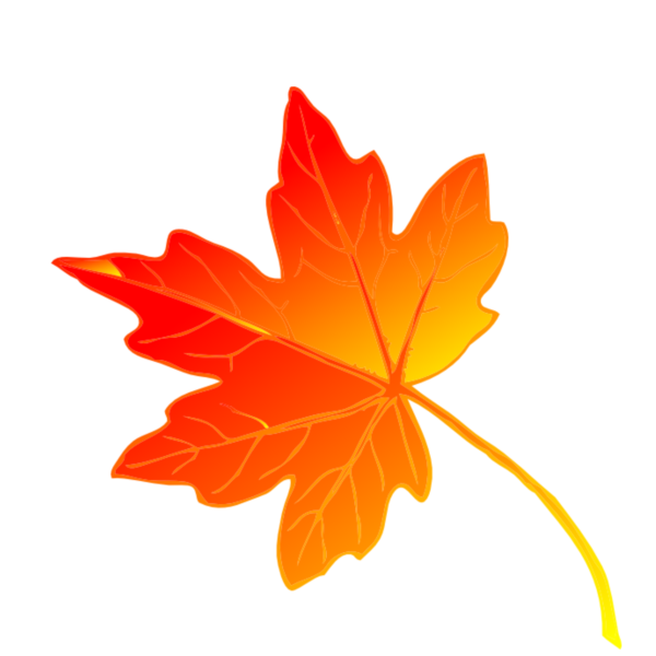 Оранжевый листок на прозрачном фоне