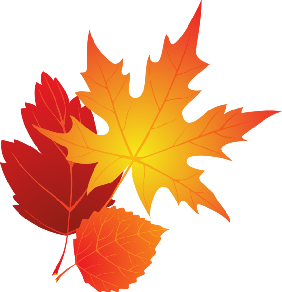 Кленовый лист