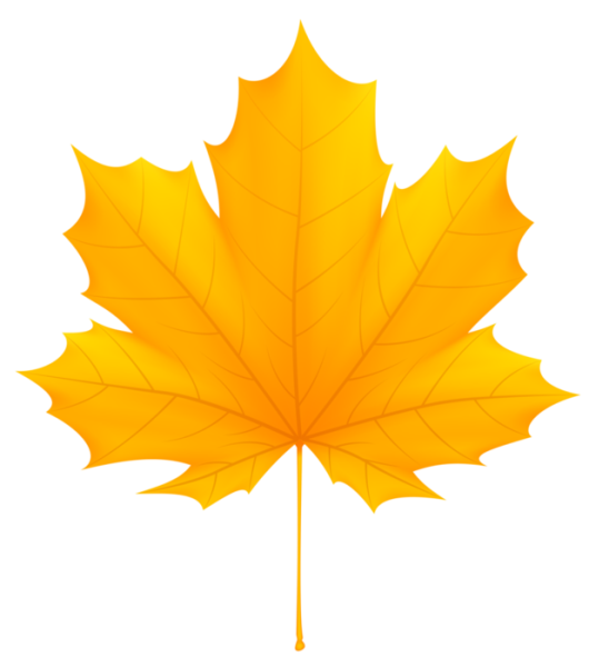 Желтые листья на прозрачном фоне