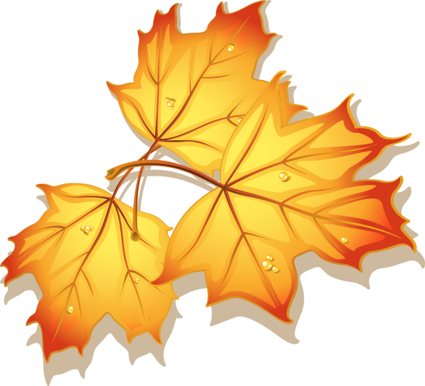 Осенние листья на прозрачном фоне