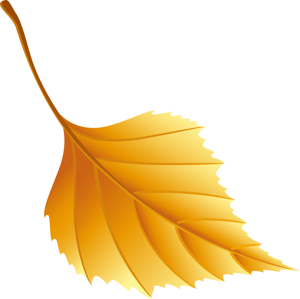 Осенние листики на белом фоне для детей