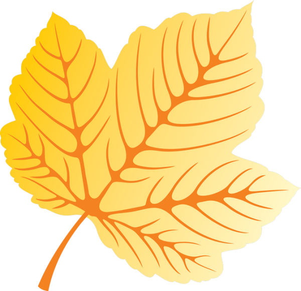 Листочки деревьев