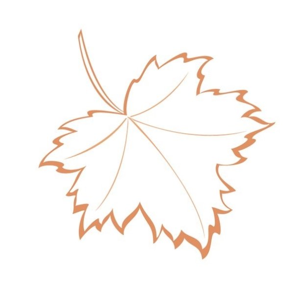 Контур осенних листьев