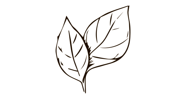 Нарисовать листок