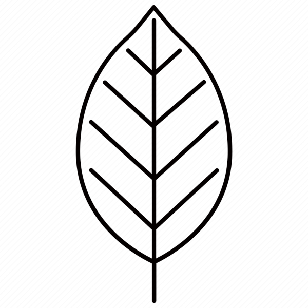 Листочки черно белые