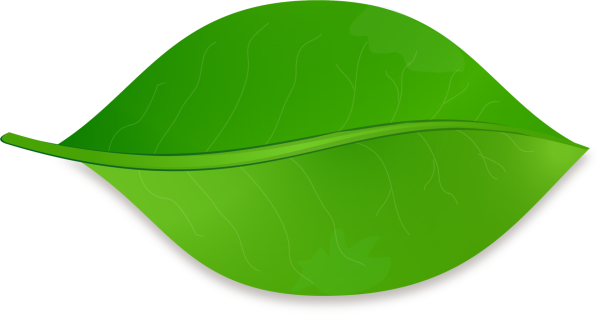 Листики для детей