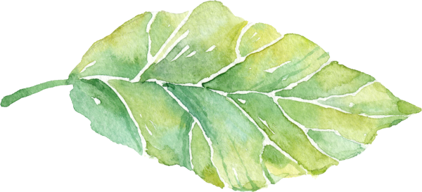 Акварельные листики