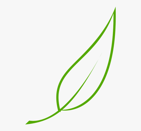 Листики от цветов рисунок