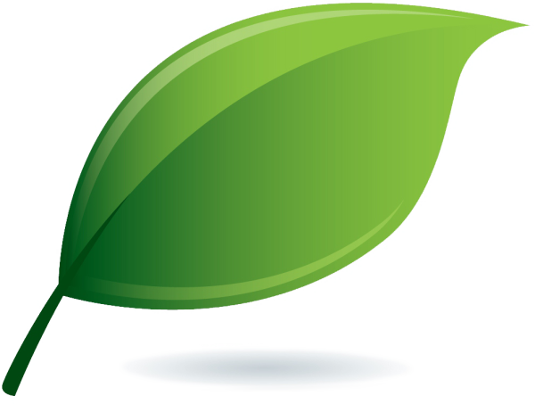Векторные листья