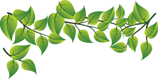 Листья вектор