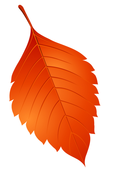 Листья деревьев