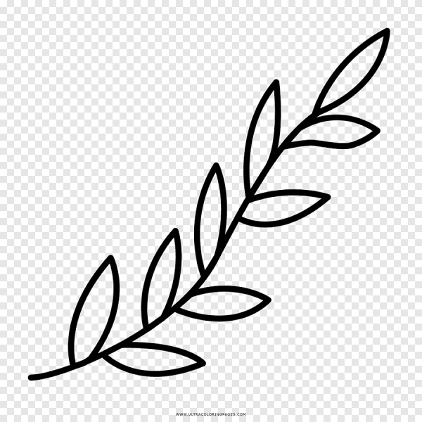 Веточка контур