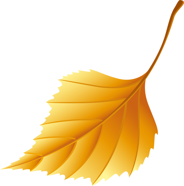 Красивые осенние листья на прозрачном фоне