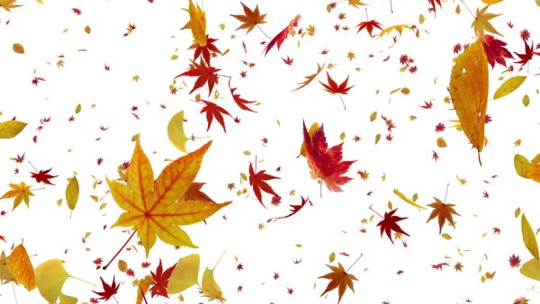 Мультяшка листопад