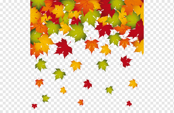 Осенние листья клипарт