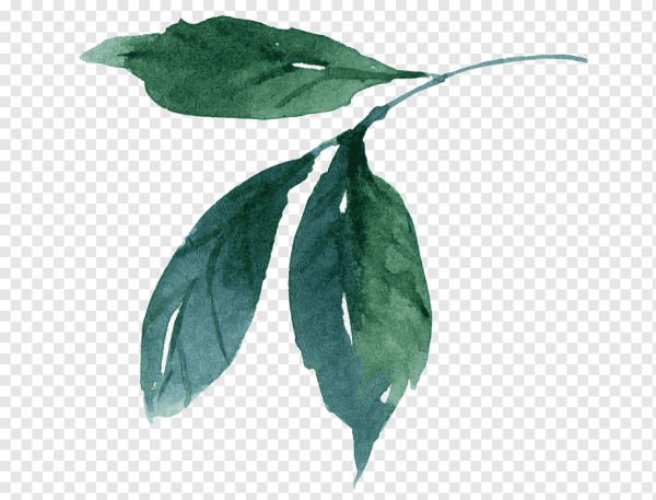 Листики акварель