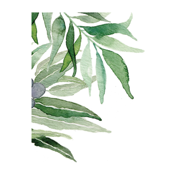 Зелень акварель