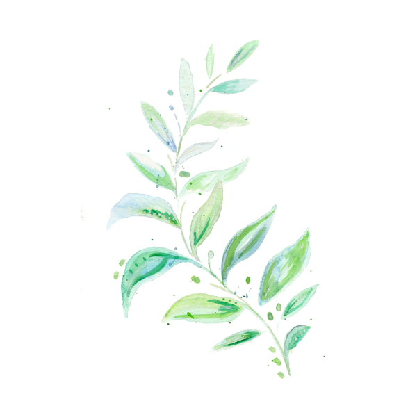 Веточки акварель