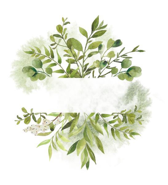 Ветки для пригласительных