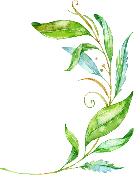 Листья акварель