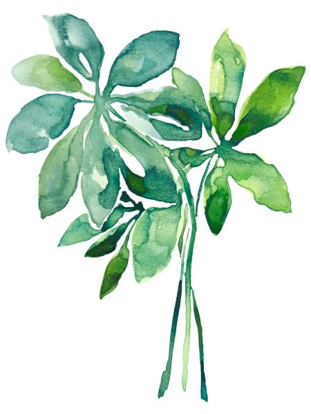 Листья акварель