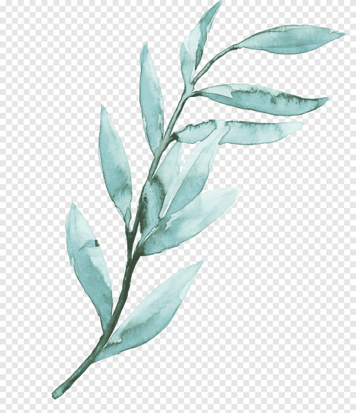 Акварельные веточки