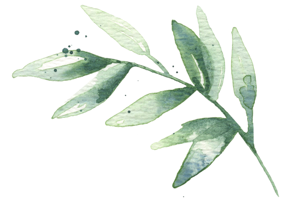 Акварельные листики