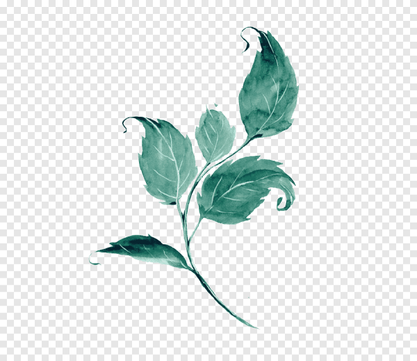 Листики акварель