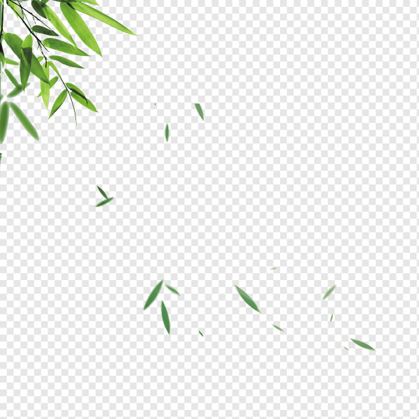 Листья бамбука на ветру